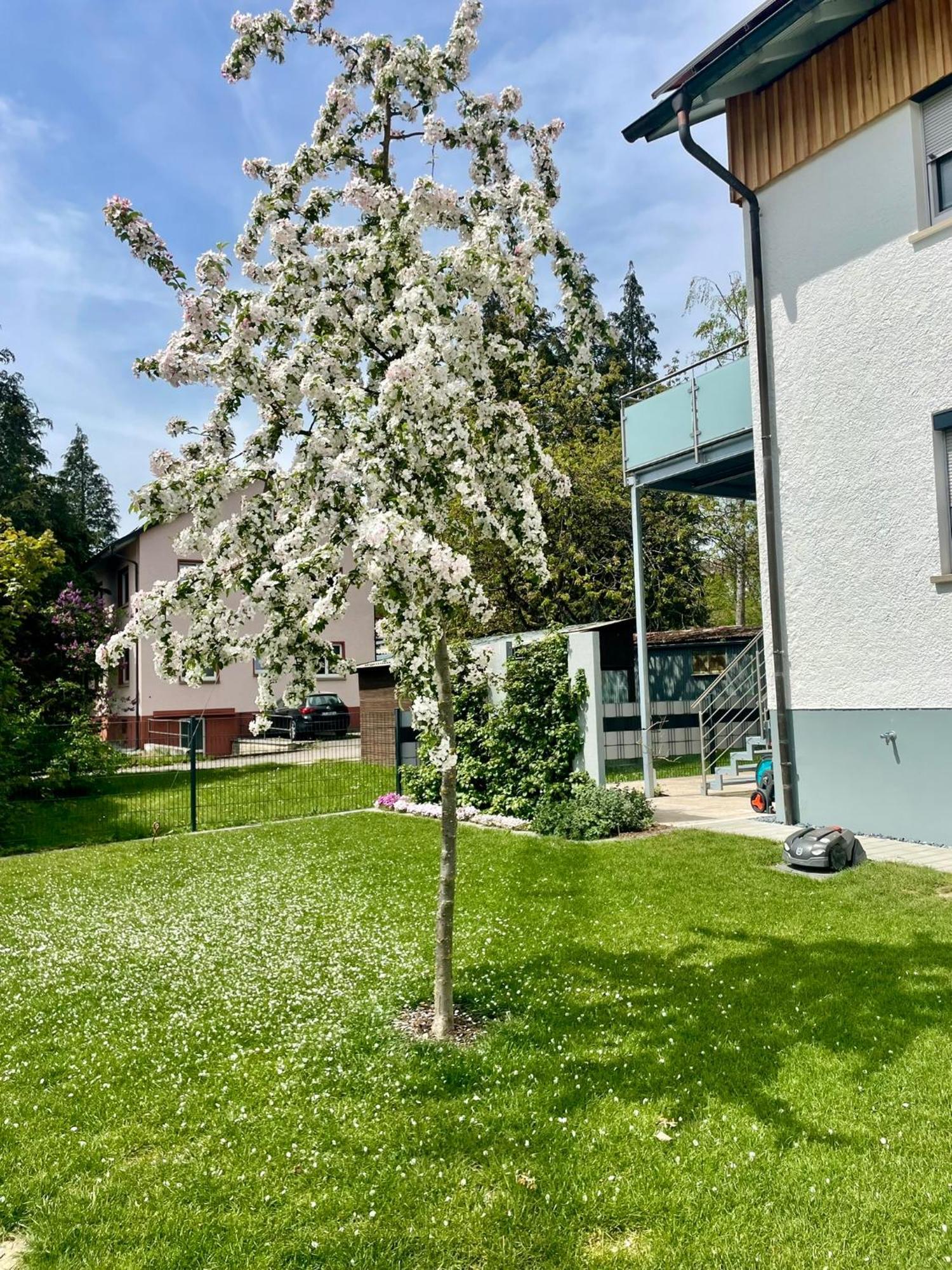 Anitas Ferienwohnung Messkirch Extérieur photo